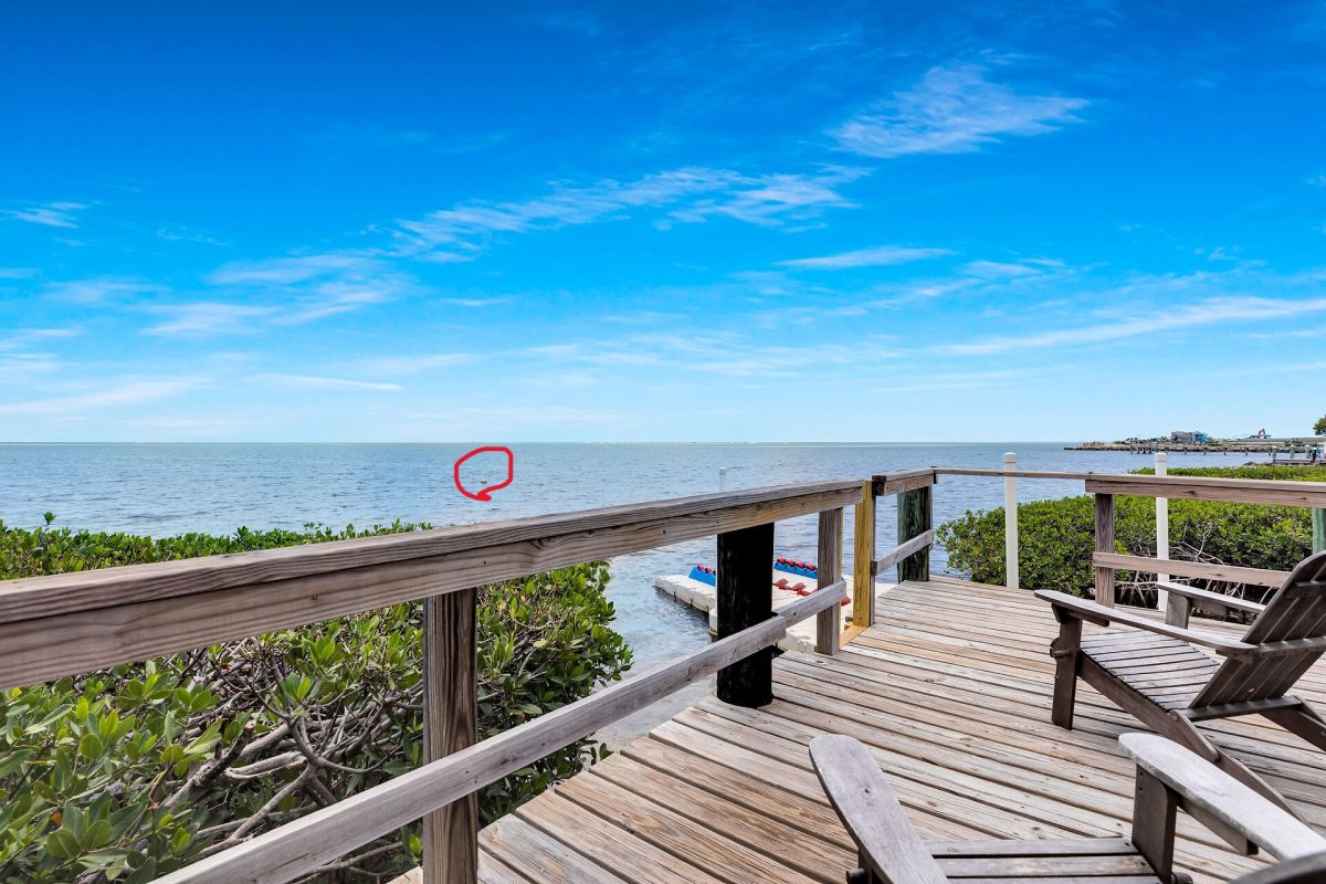 virtual-tour-356689-mls-high-res-image-14